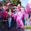 pink_loerie_mardi_gras_2018_parade_043