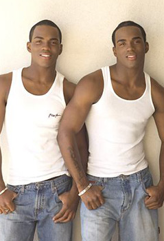 GAY PORN TWIN SENTENCED - MambaOnline - LGBTQ South Africa online