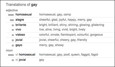 google_apologises_for_translate_gay_slurs